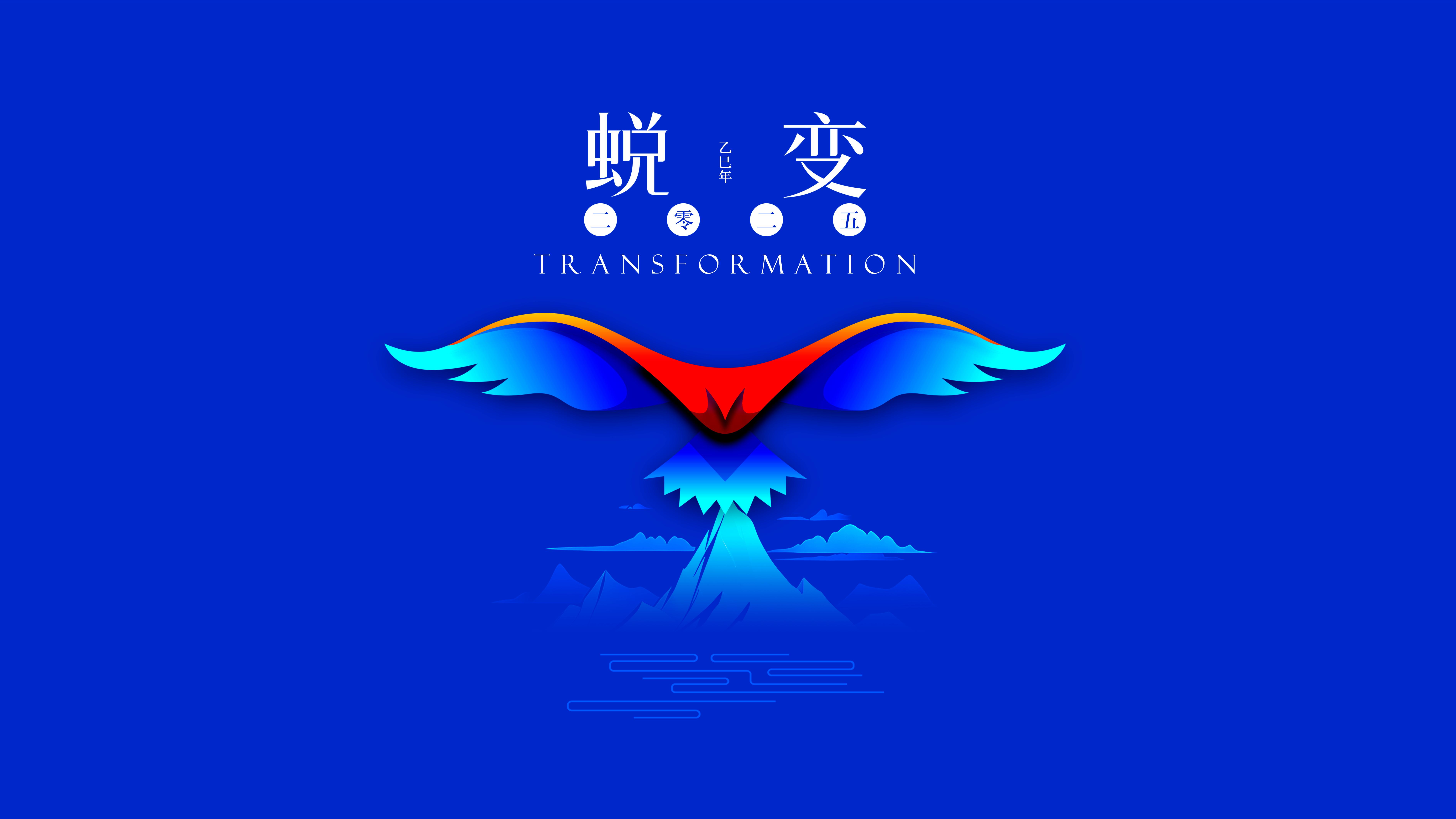 我與海星的2024，期待2025年與您一起續寫(xiě)美好篇章